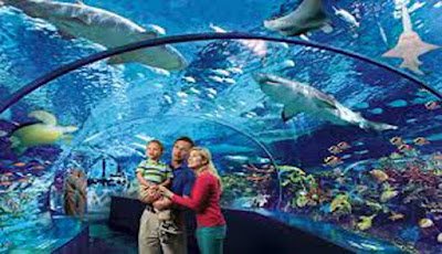 Ripley's Aquarium of the Smokies