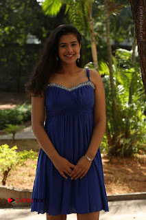 Actress Prasanna Stills in Blue Short Dress at Inkenti Nuvve Cheppu Movie Platinum Disc Function  0001