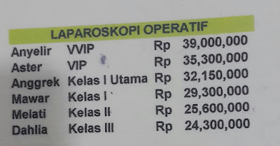 Biaya Oprasi Laparoskopi Miomektomi Biaya Oprasi Laparoskopi Miomektomi