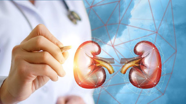 8 Faktor Penyebab Gagal Ginjal Diusia Muda yang Wajib Anda Ketahui
