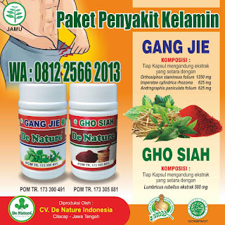 obat penis bengkak di apotik umum resep dokter