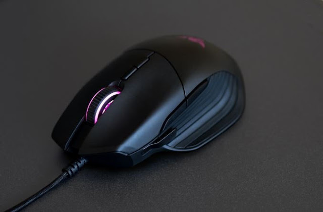 Raxer basilisk Raxer basilisk