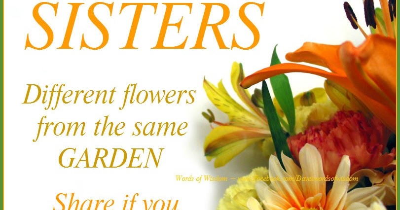 Daveswordsofwisdom.com: Sisters ~ Different Flowers From The Same Garden