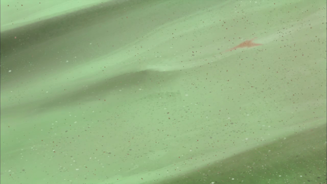 Capture-00005.png