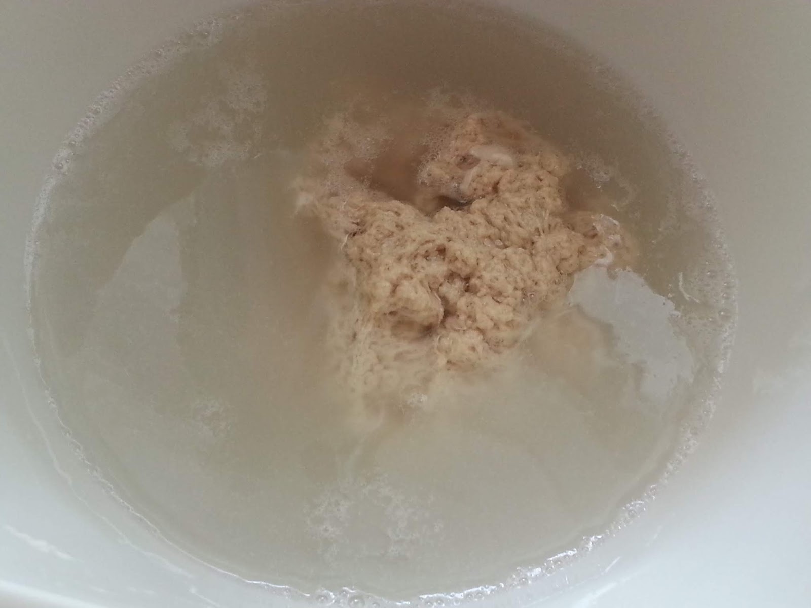 Cooking Pleasure MAKING FRESH GLUTEN