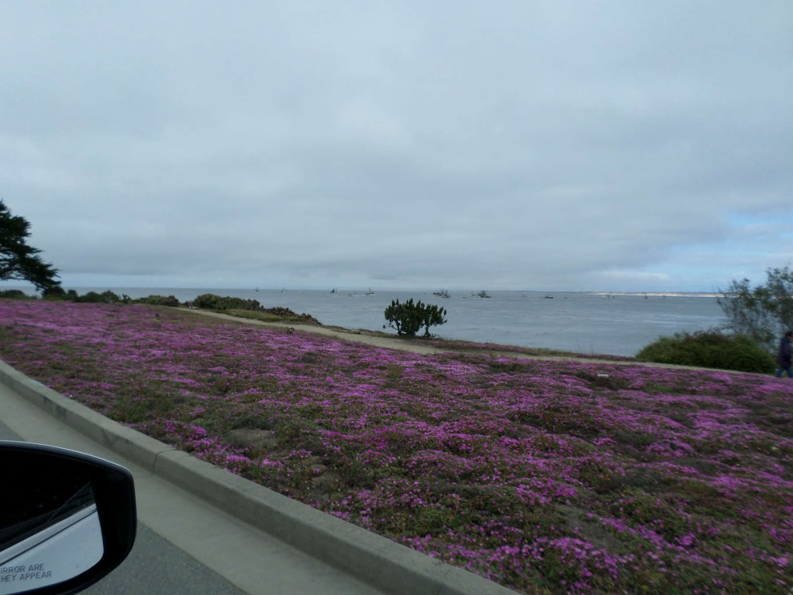 dicas viagem roatrip california monterey carmel