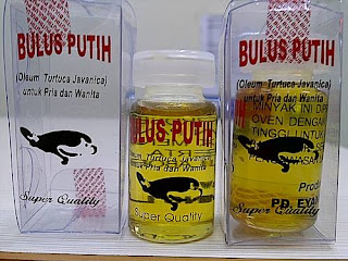 minyak bulus minyak bulus