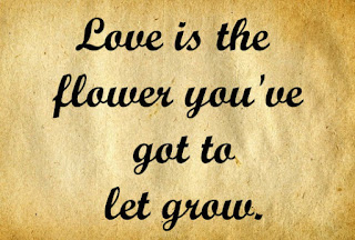 love is Love is quotes with images, love is quotes newspaper, love is quotes and sayings, love is about quotes, love is amazing quotes, love is addiction quotes, love is adorable quotes, love is life quotes and sayings, the love is quotes, love is beautiful quotes, love is beautiful quotes and sayings