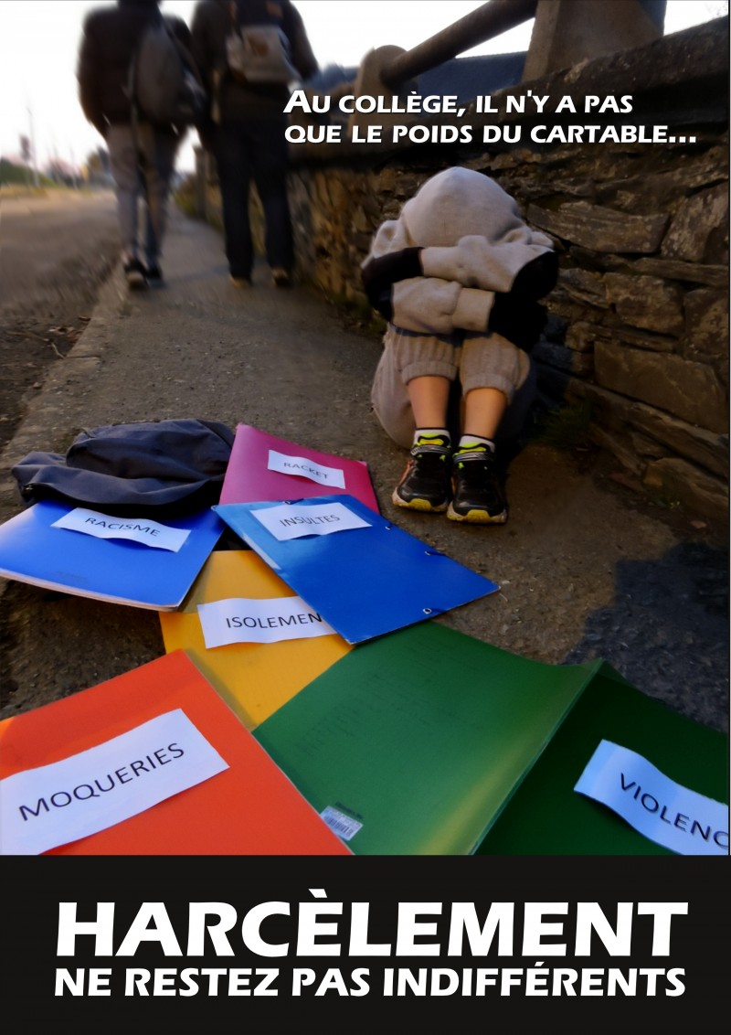 Harcèlement Au Collège Notre Dame Du Rocher Les épines du cactus: Mobilisons nous contre le harcèlement 2