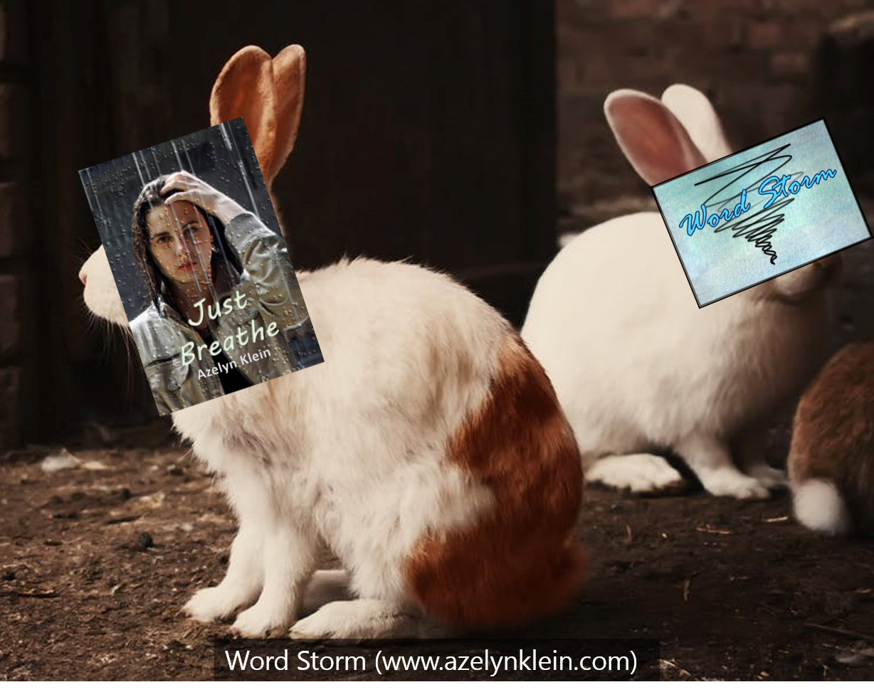 Word Storm Stages of a Plot Bunny