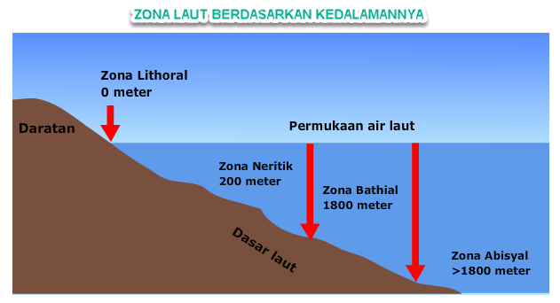 Zona Laut Menurut Proses Terjadinya Letak dan Zona Laut Menurut Proses Terjadinya Letak dan