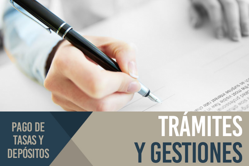Tramitación, gestión y consulta Tramitación, gestión y consulta
