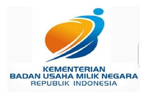 Lowongan Kerja Kementerian BUMN Non CPNS [Deadline 20 Mei 2016