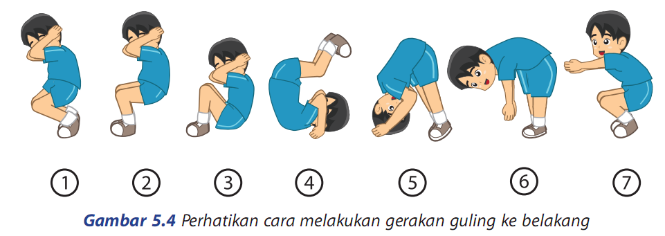 Cara Melakukan Guling Depan Diatas Peti Lompat Eva