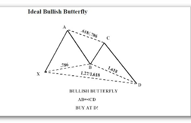 ideal+bulish+butterfly.jpg