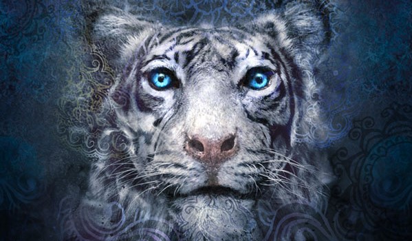 Imagem: tigerscursebook.com