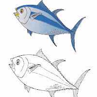 Gambar Mewarnai Ikan Tuna Anak Paud Tk Aneka Sederhana