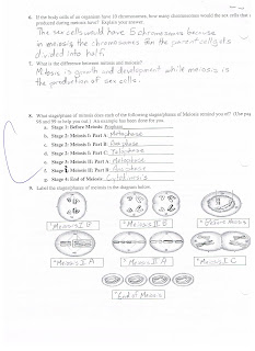 Science Blog: Meiosis Lesson Plan