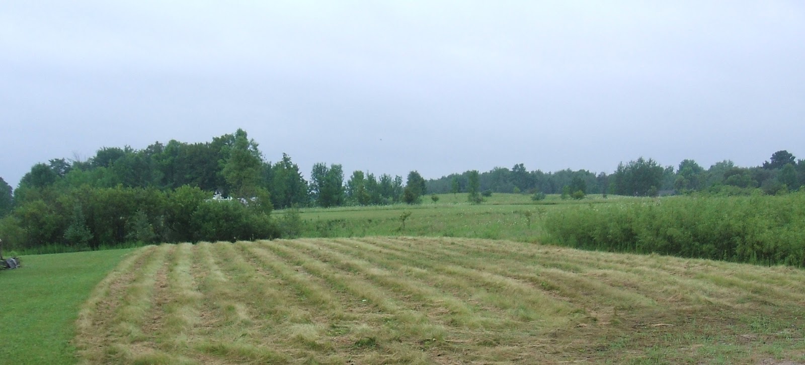 Gladwin Real Estate News Lot 439 Highlander, Sugar Springs MI Nice