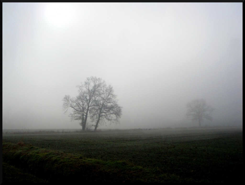 Hugomanie: Verlaine - Dans l'interminable ennui de la plaine