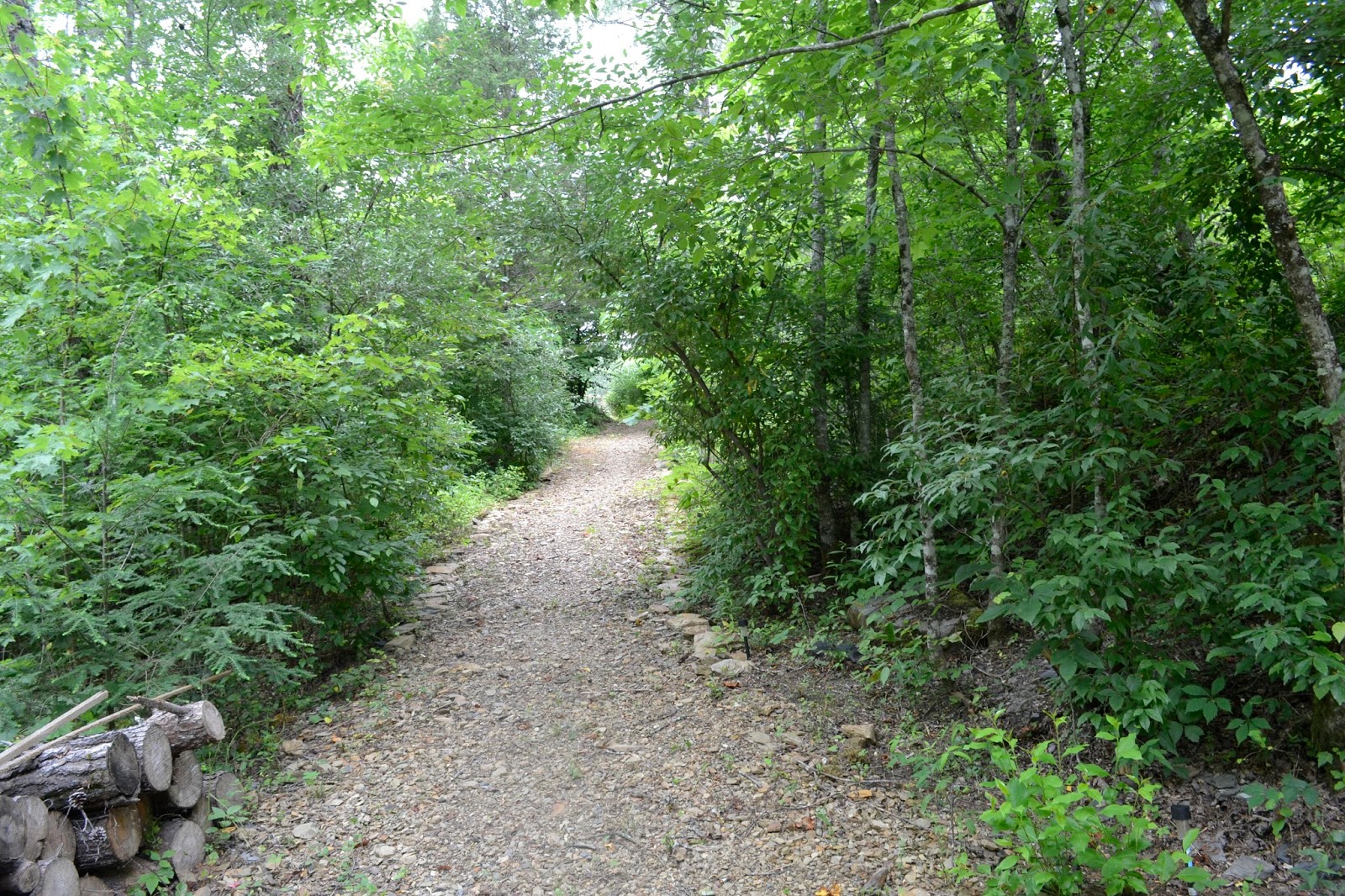 WheresBex LaFollette, TN Autumn Olive Camping