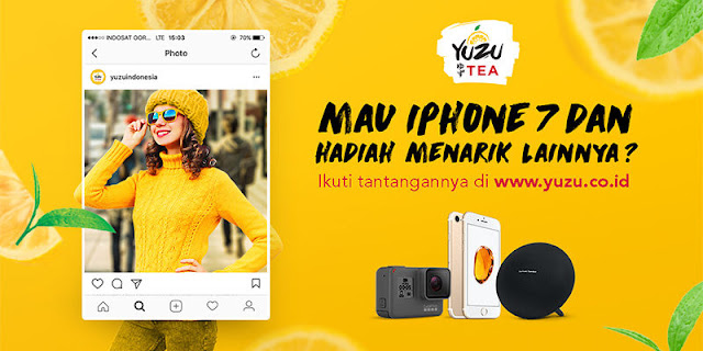 Inilah Yuzu, Buah Segar Dan Menyehatkan Inilah Yuzu, Buah Segar Dan Menyehatkan