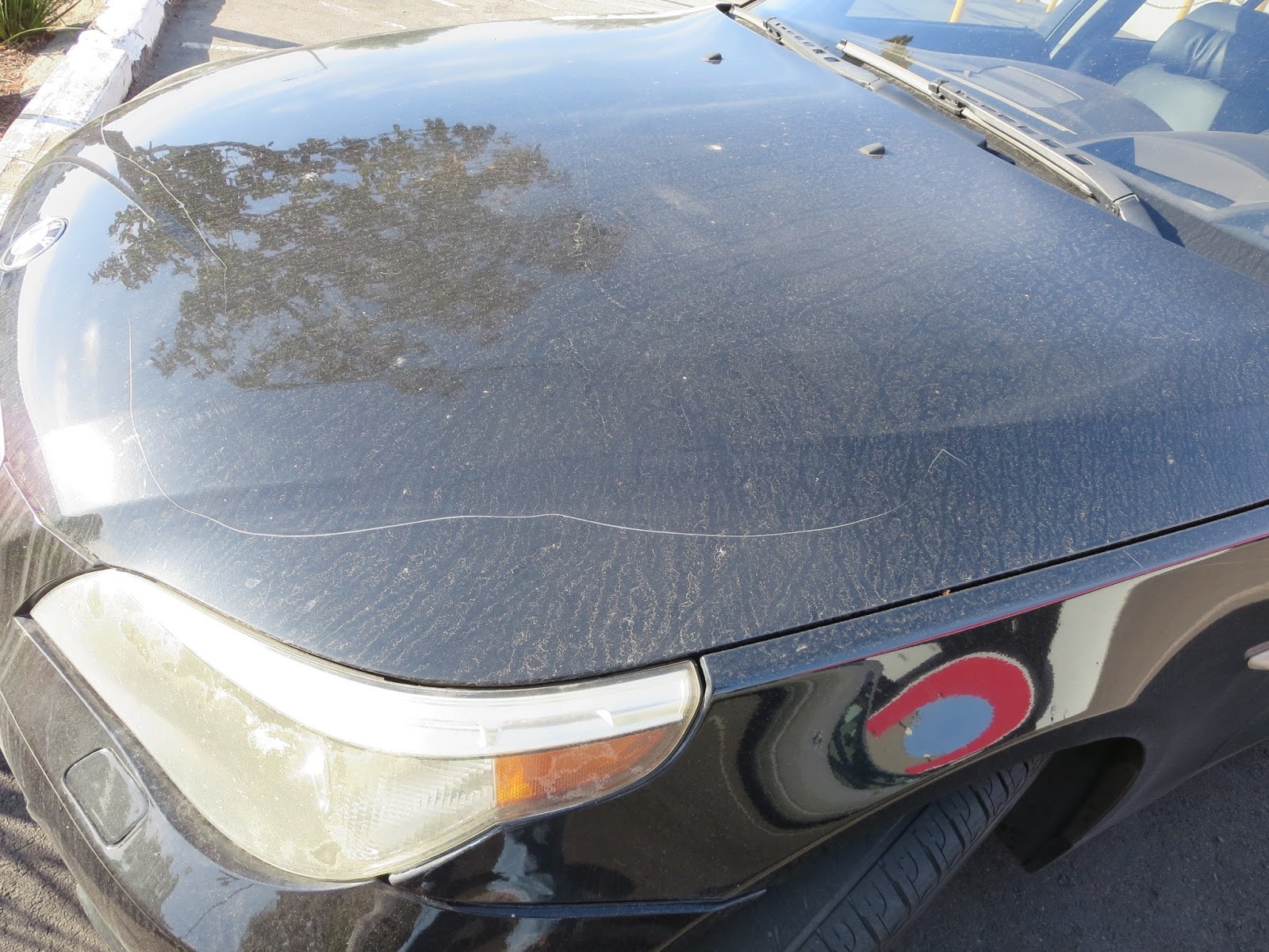 Auto BodyCollision RepairCar Paint in FremontHaywardUnion CitySan