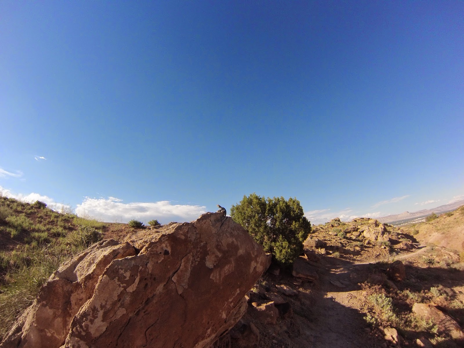 What Else Is Possible Day 1 of my Epic Journey 2Wards The Lead King 25K