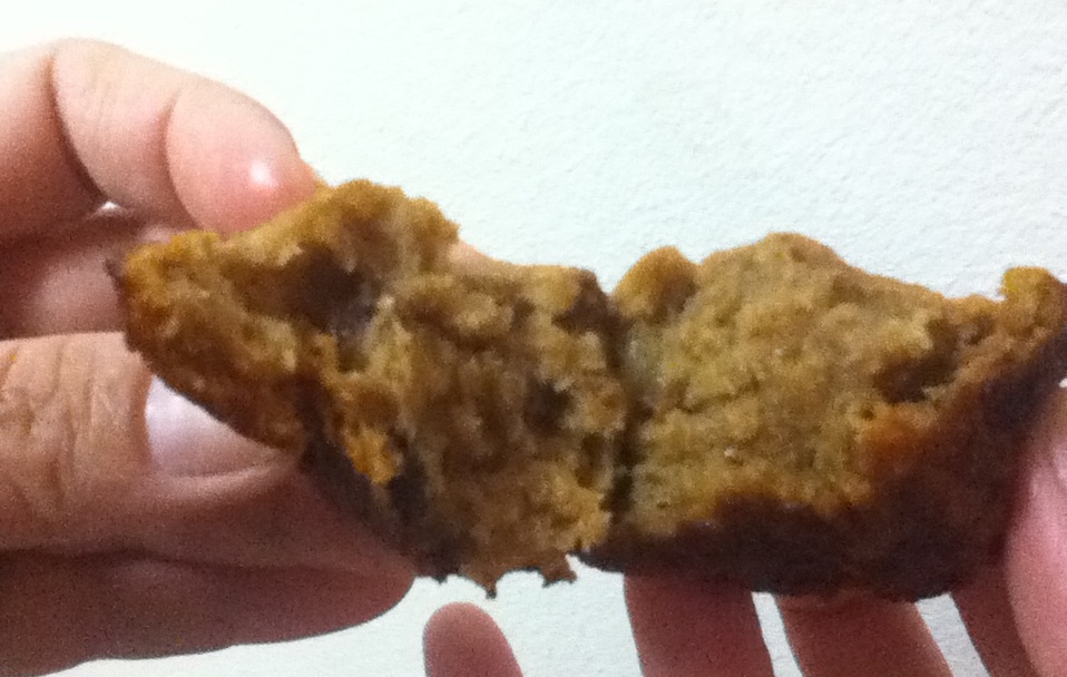 My Mad, Mad, Mad Gourmet Adventures Quinoa Applesauce Muffins