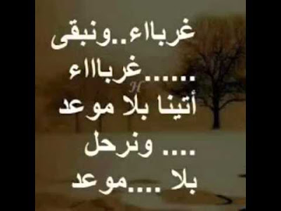 حكم واقوال حكم واقوال