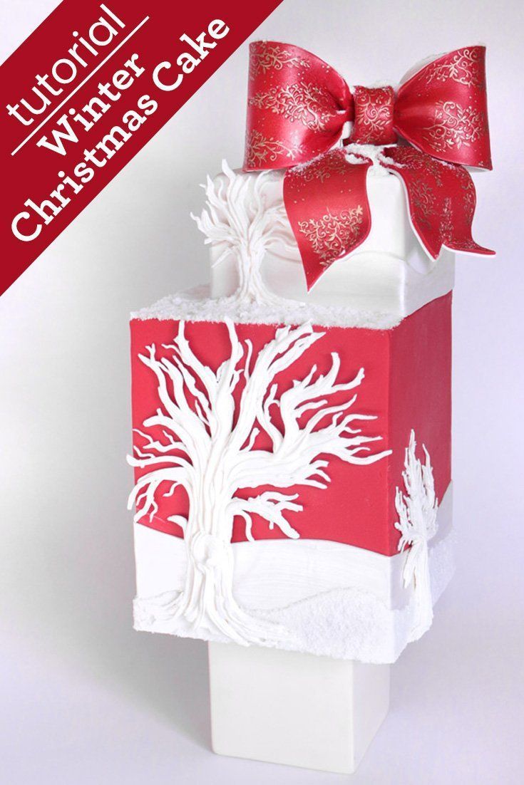 Winter Christmas Cake Tutorial Recipes - Best Recipes Collection | All