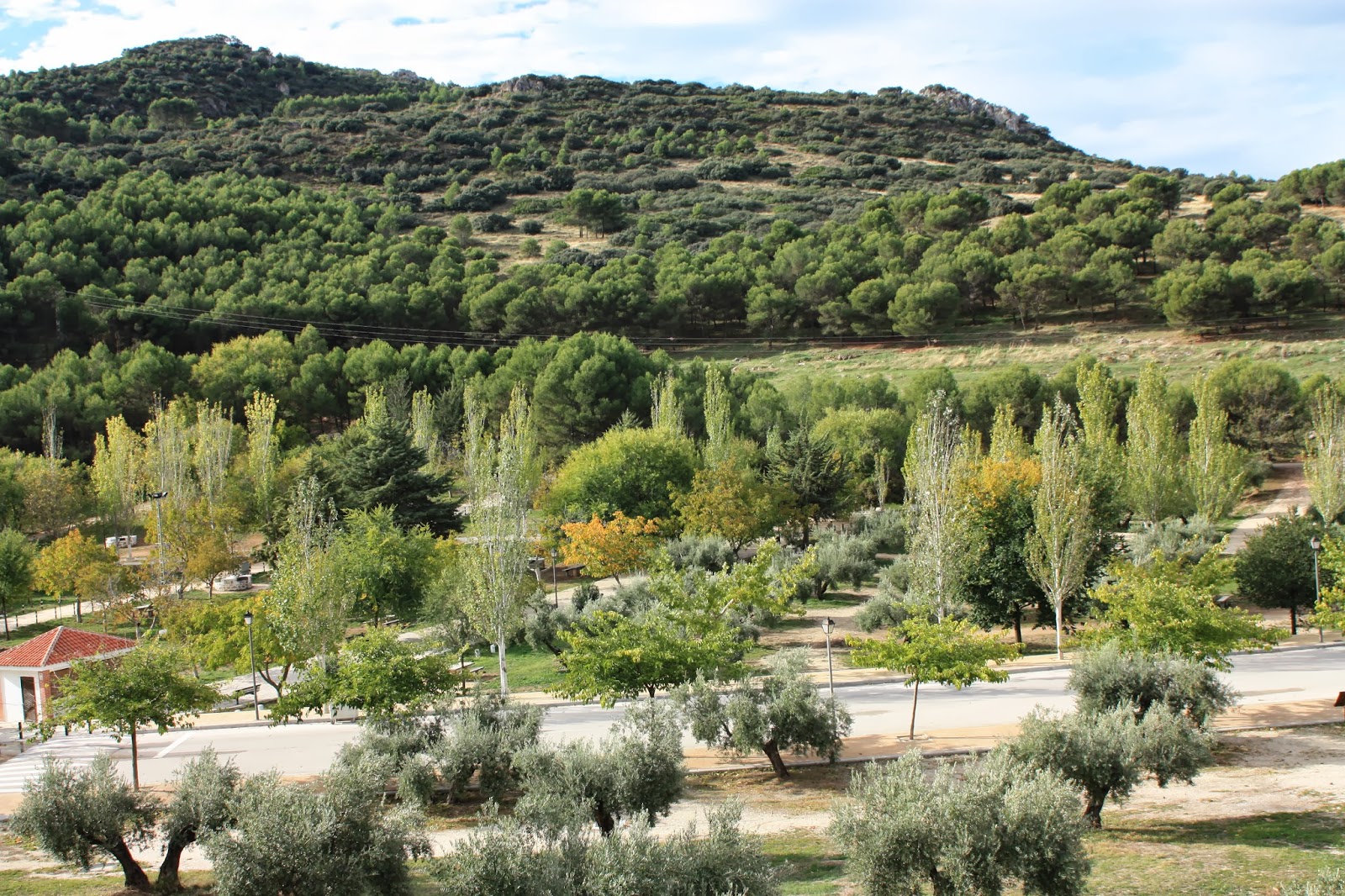 El mundoblog de Miguel Caballero Torredelcampo, el bosque encantado