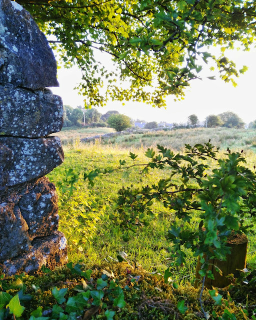 Moycullen, The Lovely Village We Live In by Annie Japaud - photographer, blogger, baker and cake maker sunrise, Connemara, Ireland