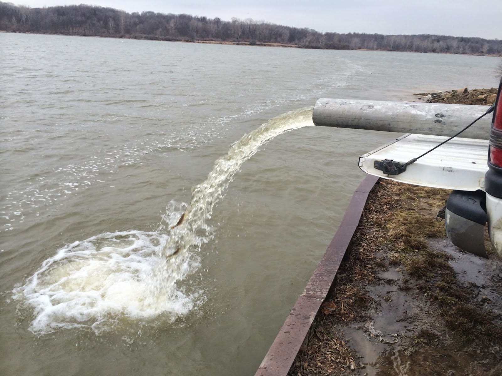 Muskie Tracking in Eagle Creek Reservoir