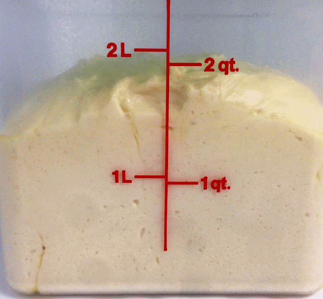 Proofing Bread Dough Proofing Bread Dough