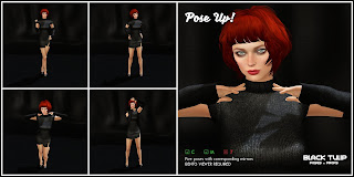 [Black Tulip] Poses - Pose Up! (Bento)