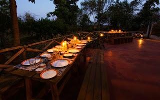 Explore the Wildlife of Madhya Pradesh with V Resorts Explore the Wildlife of Madhya Pradesh with V Resorts