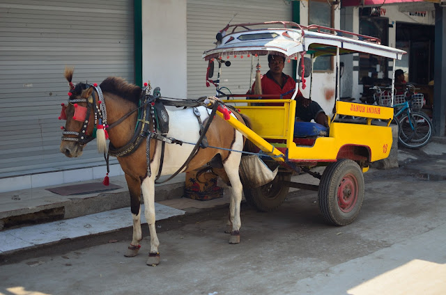 Coches de Gili T Coches de Gili T