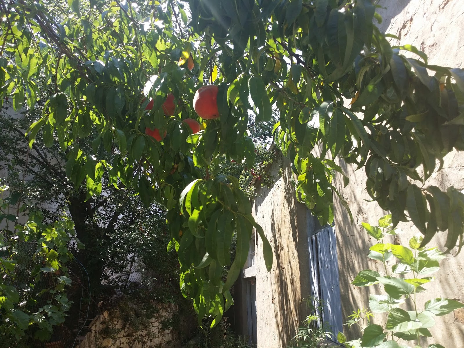 Piknik kancasını doğru şekilde bağlama. seçenekleri Piknik kancasını doğru şekilde bağlama. seçenekleri
