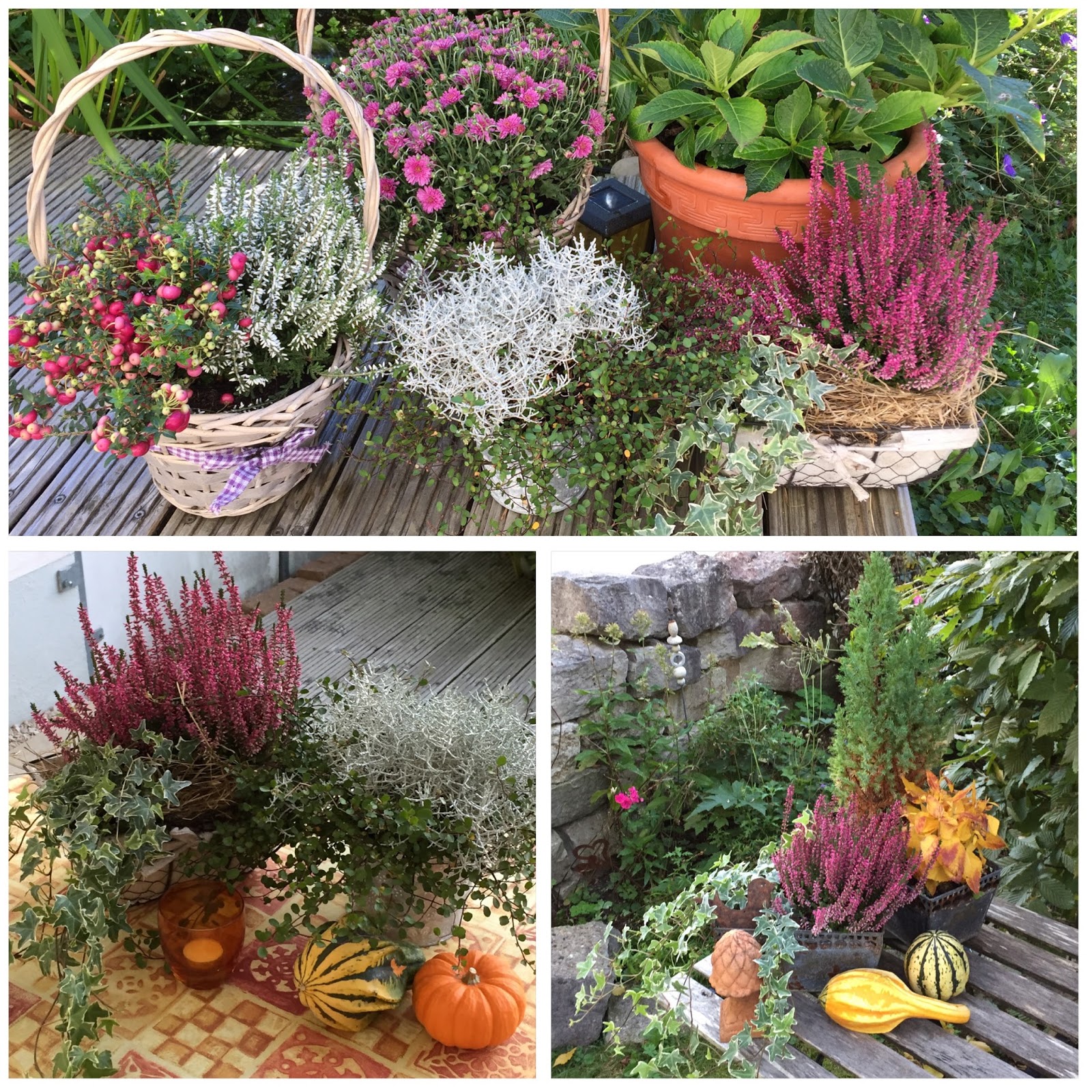 Herbstdeko im Garten my loved things