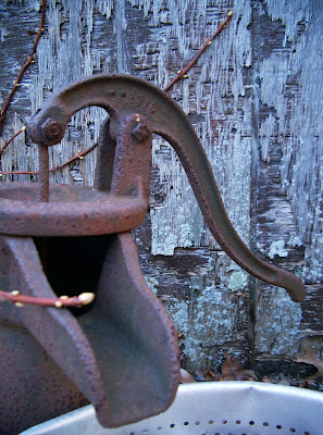 old well water pump linda nelson at the createaerie