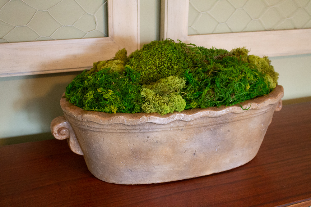 How To Make Inexpensive Moss Bowls Miss Kopy Kat