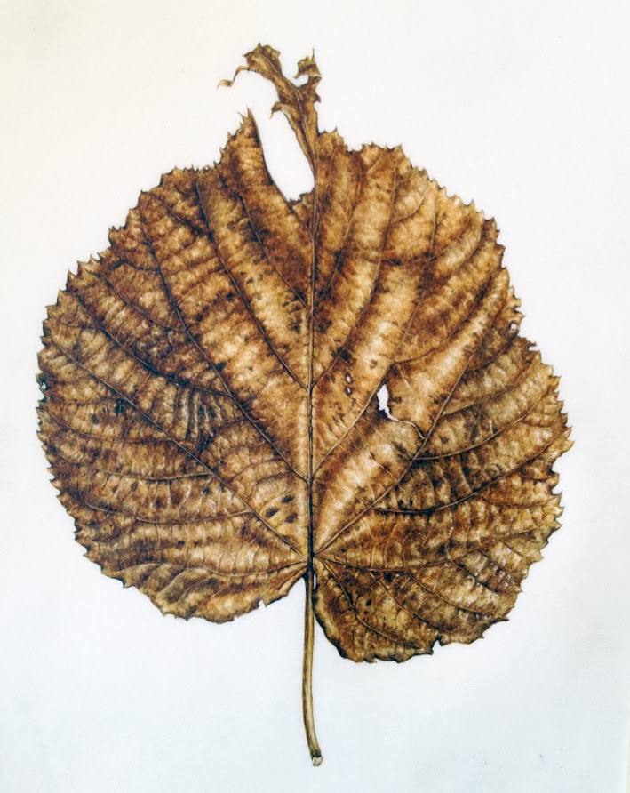 Dianne Sutherland Painting on Vellum