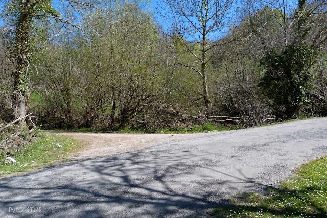 Desvío Camín Real del Sellón Desvío Camín Real del Sellón