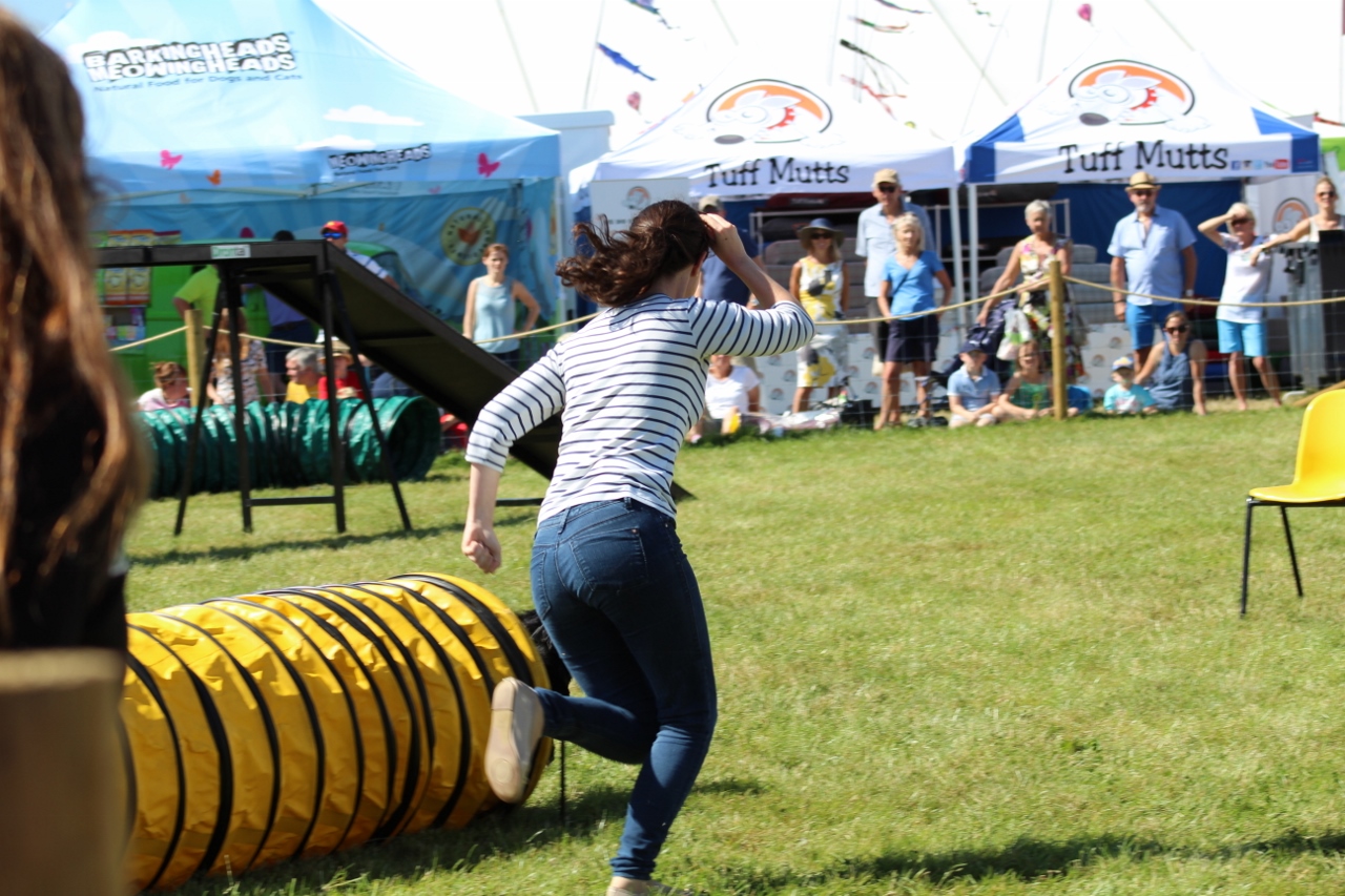 Dog Agility at Countryfile Live