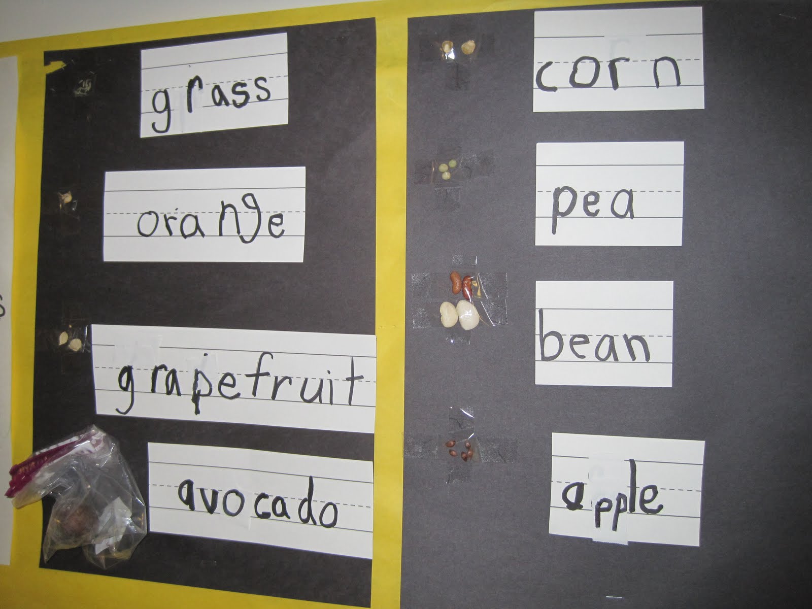 News from 201: Plant and Seed Activities