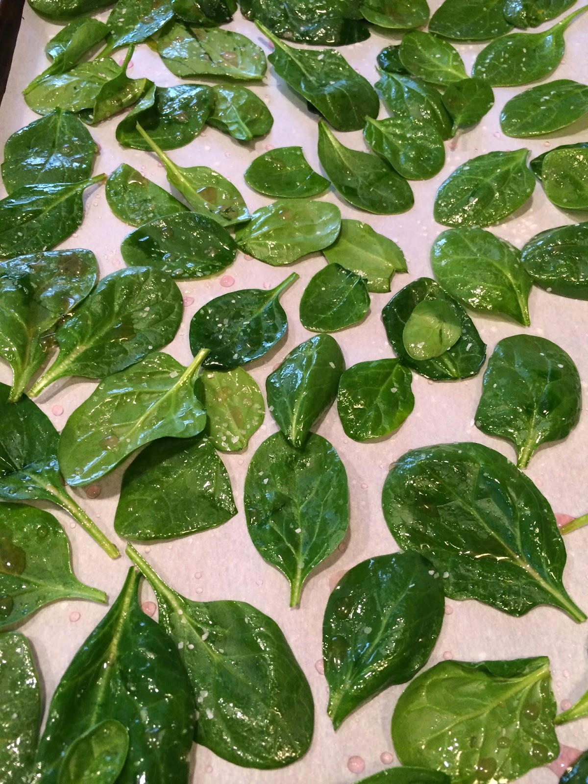 Food Impressions Salt n Vinegar Spinach Chips