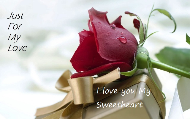 Happy Rose Day Wallpapers Download HD Happy Rose Day Wallpapers Download HD