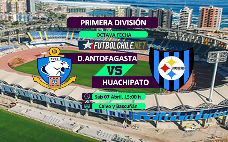 Deportes Antofagasta vs Huachipato: Previa, horario, dónde ver en vivo por TV y online por la Primera División Deportes Antofagasta vs Huachipato: Previa, horario, dónde ver en vivo por TV y online por la Primera División