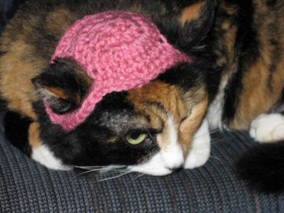 Cat In A Pink Hat